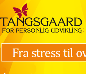 Interaktivt kursusforløb ”Fra stress til overskud og glæde- step by step