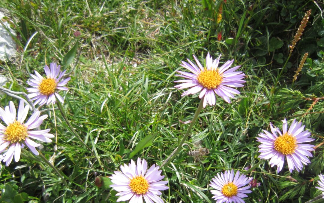 Sådan får du ilt til at gøre en forskel