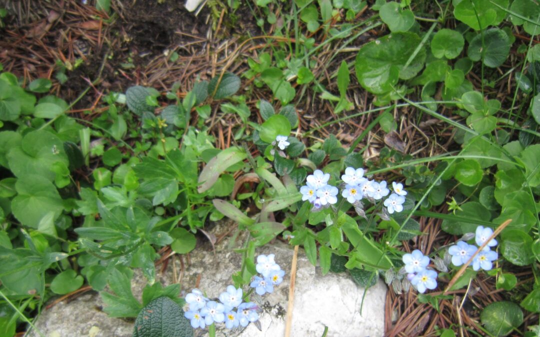 Har du fyldt benzin på kroppen?