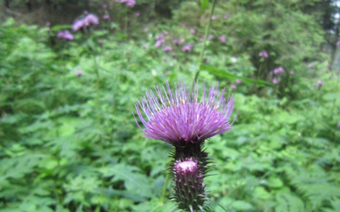 Når tankerne løber løbsk