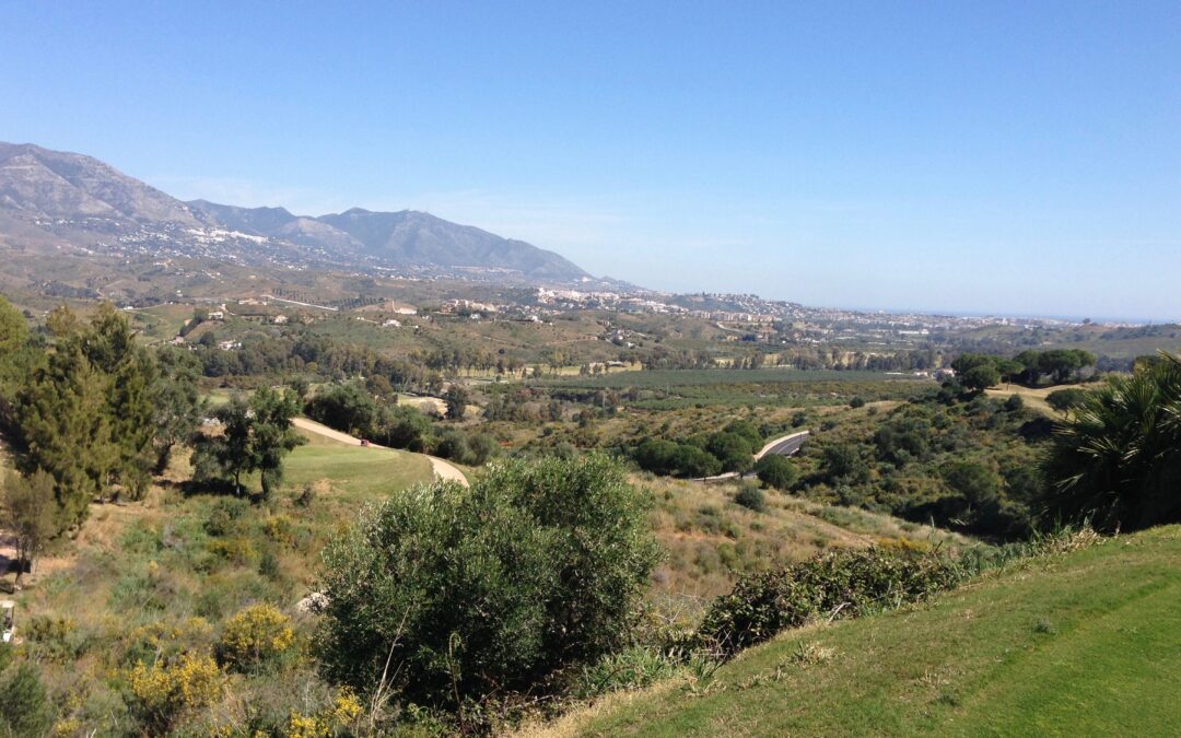 35.000 sygemeldt med stress, jeg var en af dem