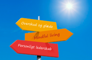 Bevist personligt lederskab med mindful living